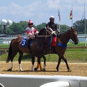 Meet your Posher, Laura